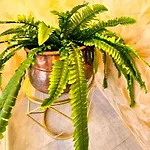 La Corte Dei Fiori Bed & Breakfast *