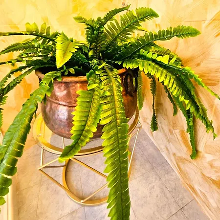 La Corte Dei Fiori Bed & Breakfast *